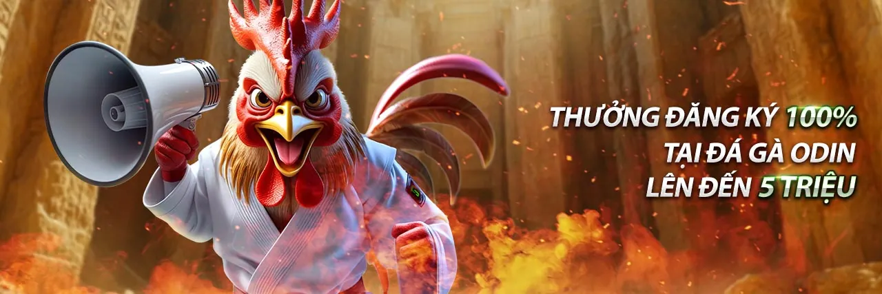 Đá gà trực tiếp Thomo 2026 với ưu đãi khủng