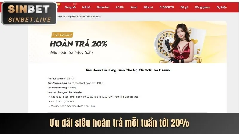 Hoàn trả casino hàng ngày